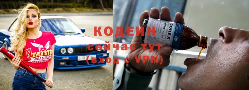 купить наркоту  Петропавловск-Камчатский  Кодеиновый сироп Lean Purple Drank 