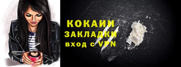 молекула духа Михайлов