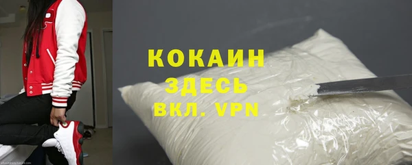 молекула духа Михайлов