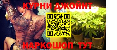 шишки Изобильный