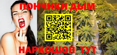 шишки Изобильный