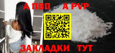шишки Изобильный