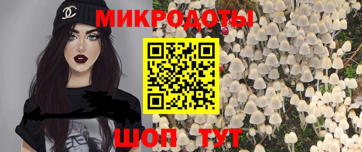 Галлюциногенные грибы мухоморы  купить наркоту  Галлюциногенные грибы MAGIC MUSHROOMS  Петропавловск-Камчатский 