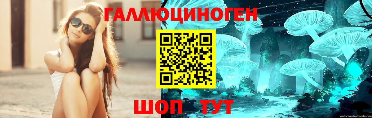 Псилоцибиновые грибы мицелий Петропавловск-Камчатский